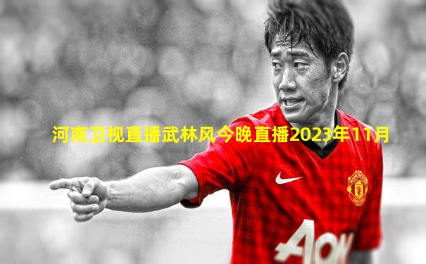 河南卫视直播武林风今晚直播2023年11月
