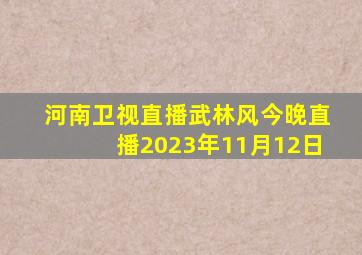 河南卫视直播武林风今晚直播2023年11月12日