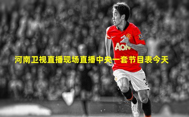 河南卫视直播现场直播中央一套节目表今天