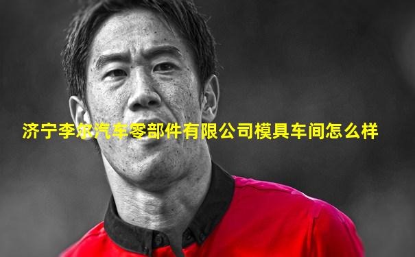 济宁李尔汽车零部件有限公司模具车间怎么样