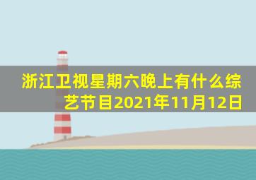 浙江卫视星期六晚上有什么综艺节目2021年11月12日