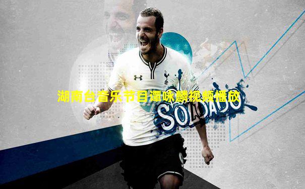 湖南台音乐节目谭咏麟视频播放