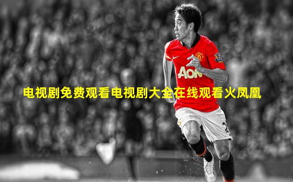 电视剧免费观看电视剧大全在线观看火凤凰