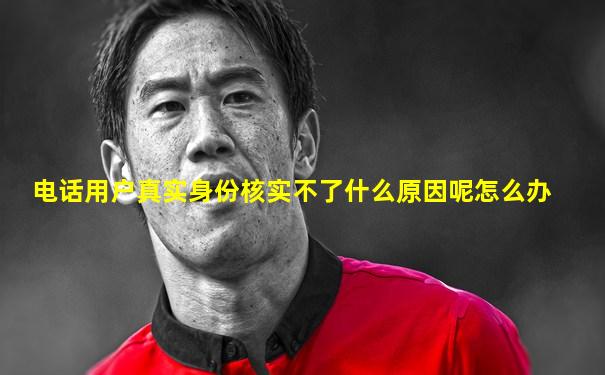 电话用户真实身份核实不了什么原因呢怎么办