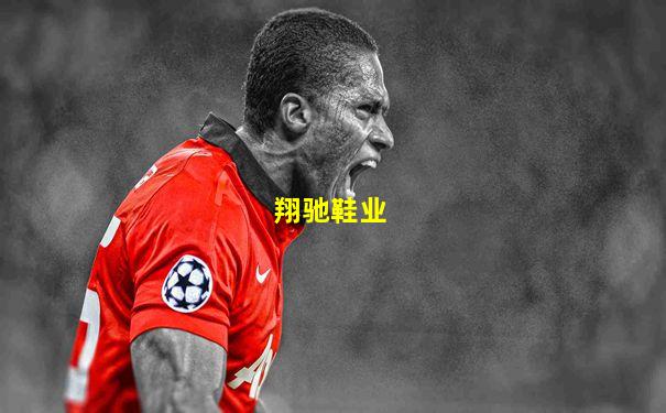 翔驰鞋业