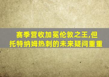 赛季营收加冕伦敦之王,但托特纳姆热刺的未来疑问重重
