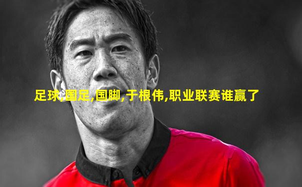 足球,国足,国脚,于根伟,职业联赛谁赢了