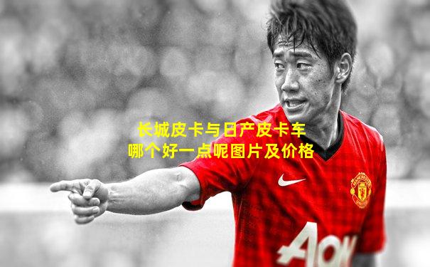 长城皮卡与日产皮卡车哪个好一点呢图片及价格
