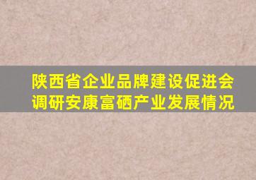 陕西省企业品牌建设促进会调研安康富硒产业发展情况
